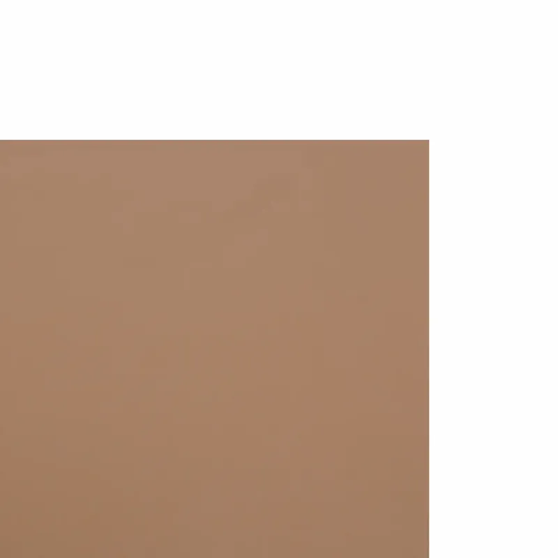 Larach y Cia : Carton Corrugado Color Piel 50X70Cm