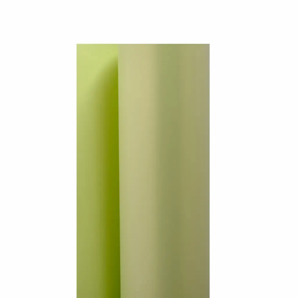 Cartulina Perlada Doble Cara Verde 50X70Cm