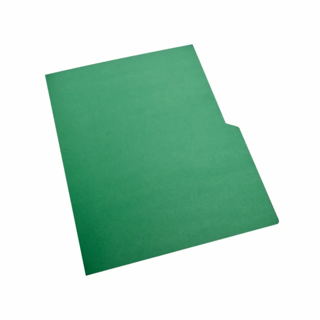 Folder Verde Bandera Tamaño Carta 5-Piezas