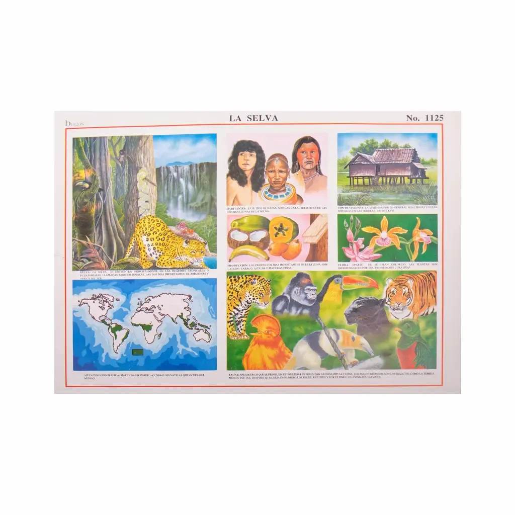 Lamina Educativa La Selva Burgos