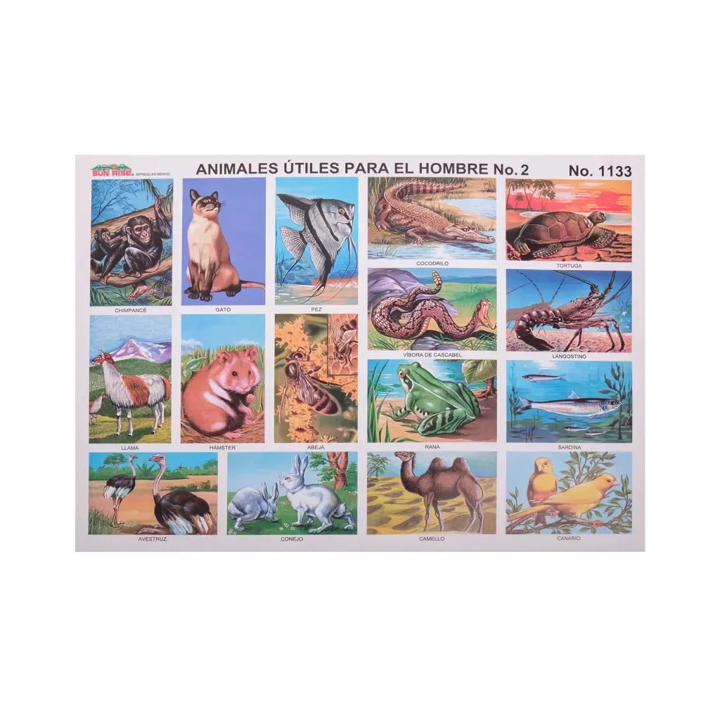 Lamina Educativa Animales Utiles Para El Hombre Sun-Rise