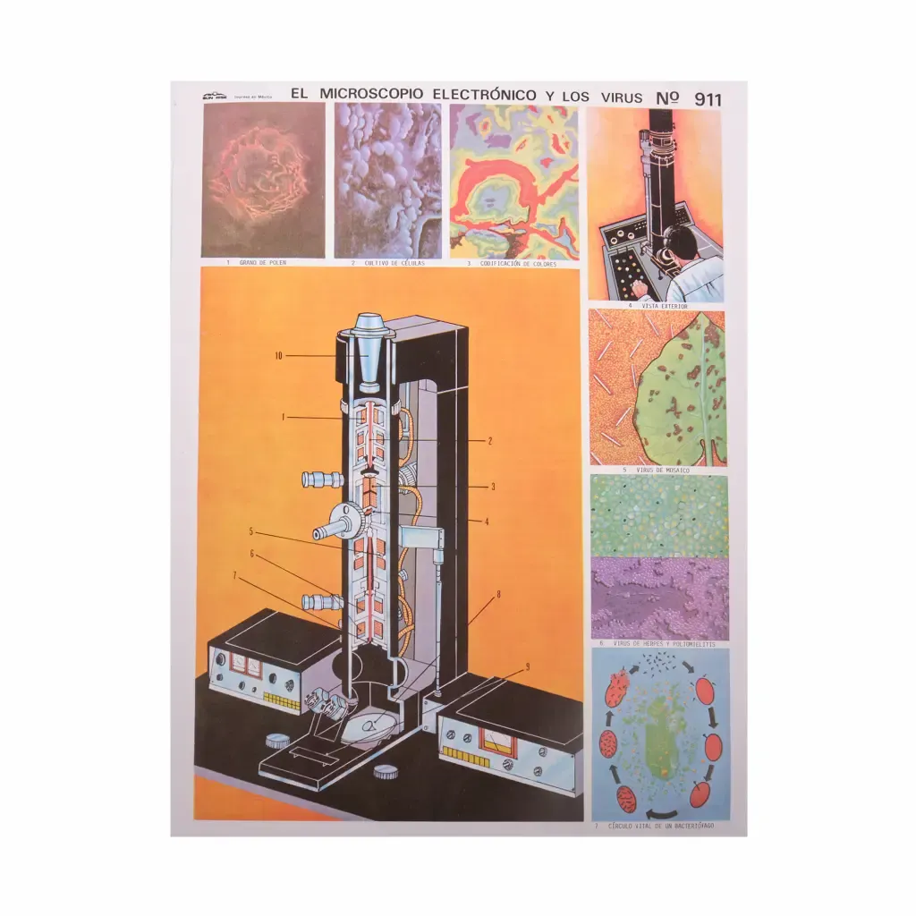 Lamina Educativa El Microscopio Electrónico Y Los Virus Sun-Rise