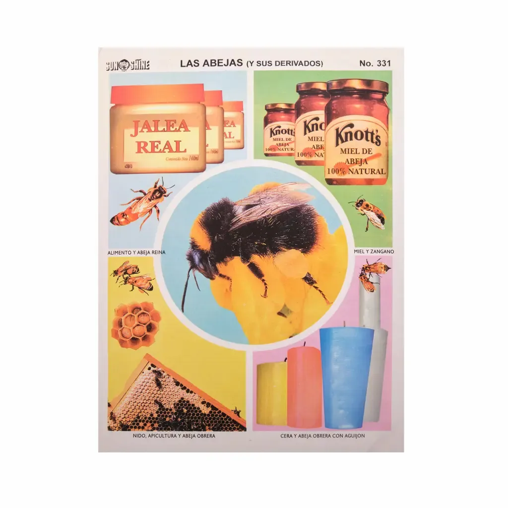 Lamina Educativa La Abeja Y Derivados Sun-Shine