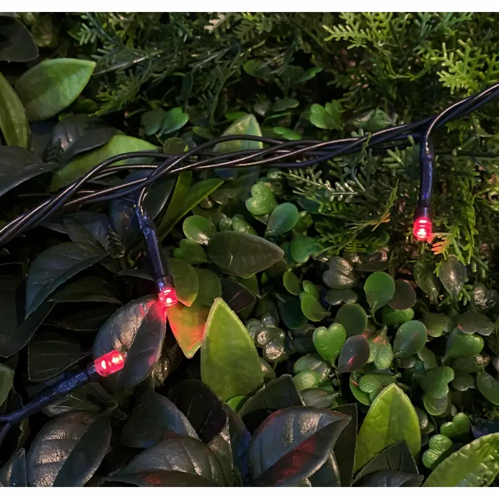 Luces Navidad Led 100Piezas Rojo 110V 900Cm