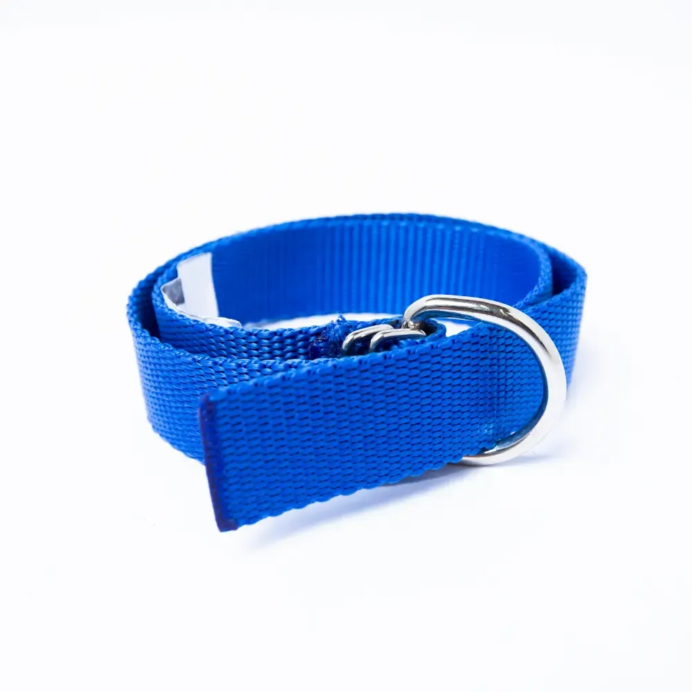 Collar De Fibra Grande Para Perro Lavaire 1.1/4X28Plg